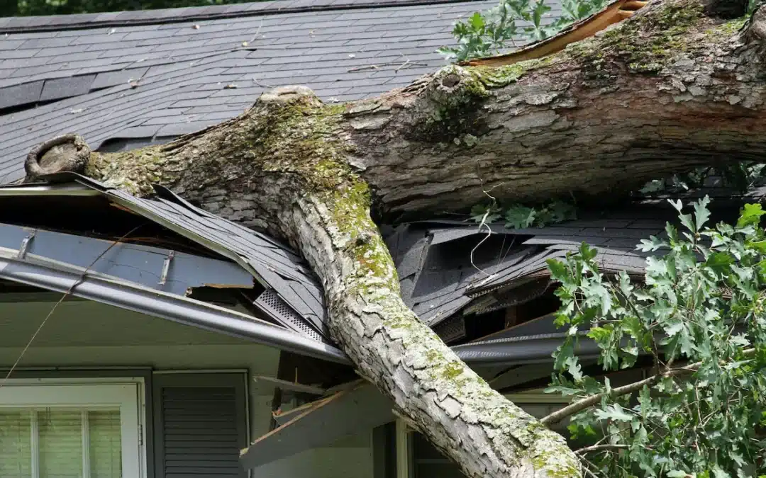 Navigating Homeowners Insurance Claims: What to Do After Property Damage or Loss